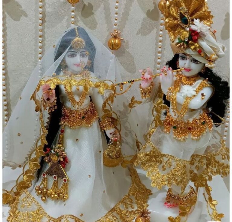 WhatsApp Image 2025-07-31 at 8.43